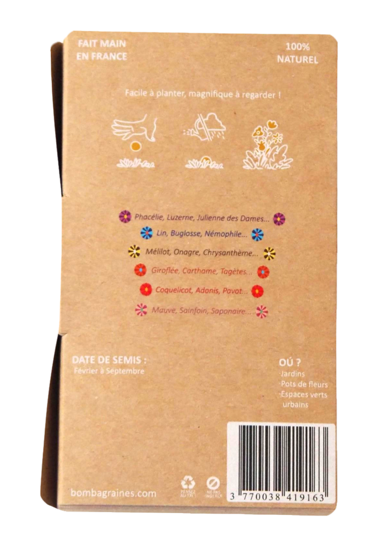 COFFRET BOMBAMIX - Bombes de graines aux fleurs multicolores