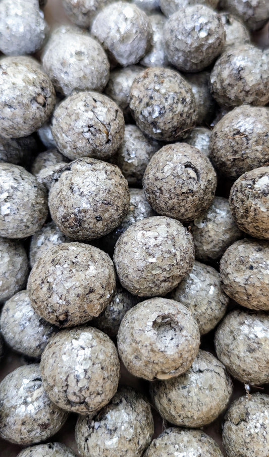 Les Gueules Cassés (Bombafacettes)