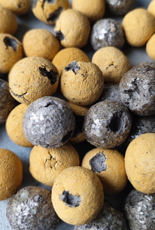 Les Gueules Cassées