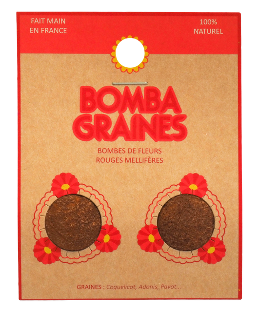 BOMBALOVE DUO - Bombes de graines aux fleurs rouges
