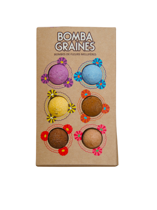 COFFRET BOMBAMIX - Bombes de graines aux fleurs multicolores