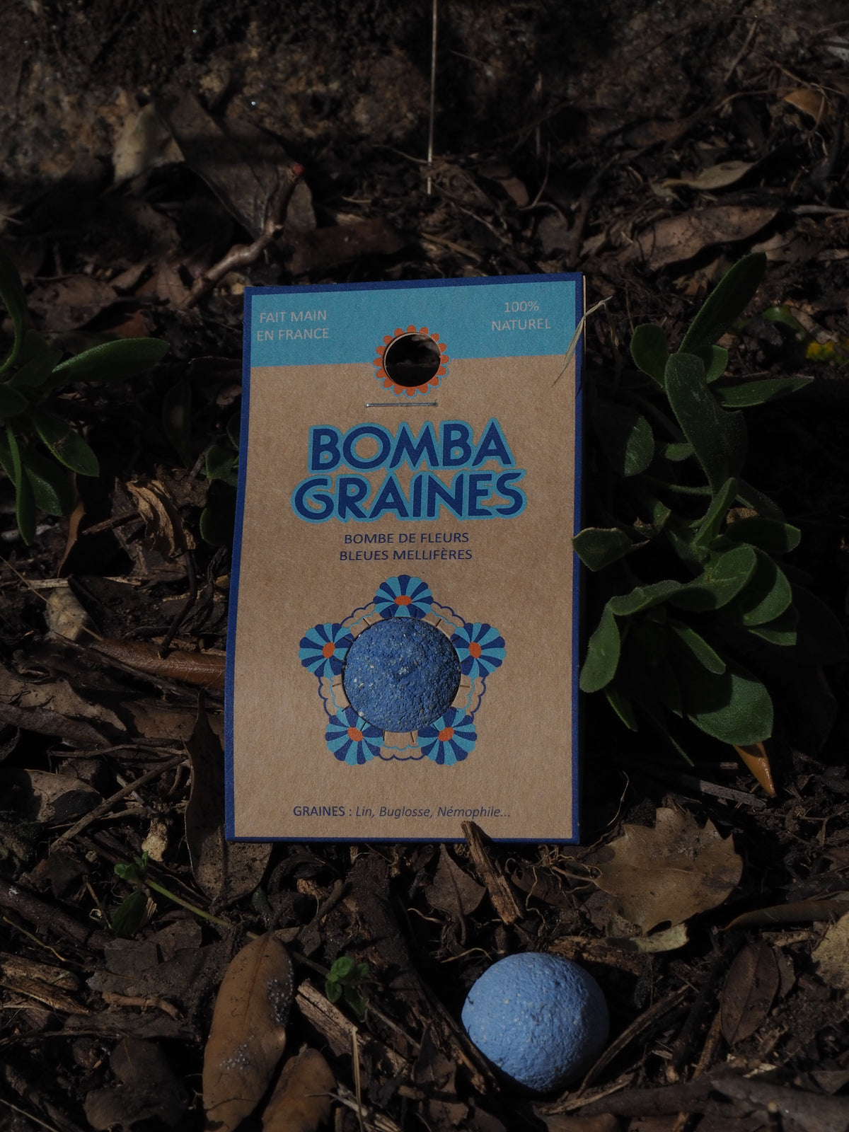 BOMBAZUL - Bombe de graines aux fleurs bleues