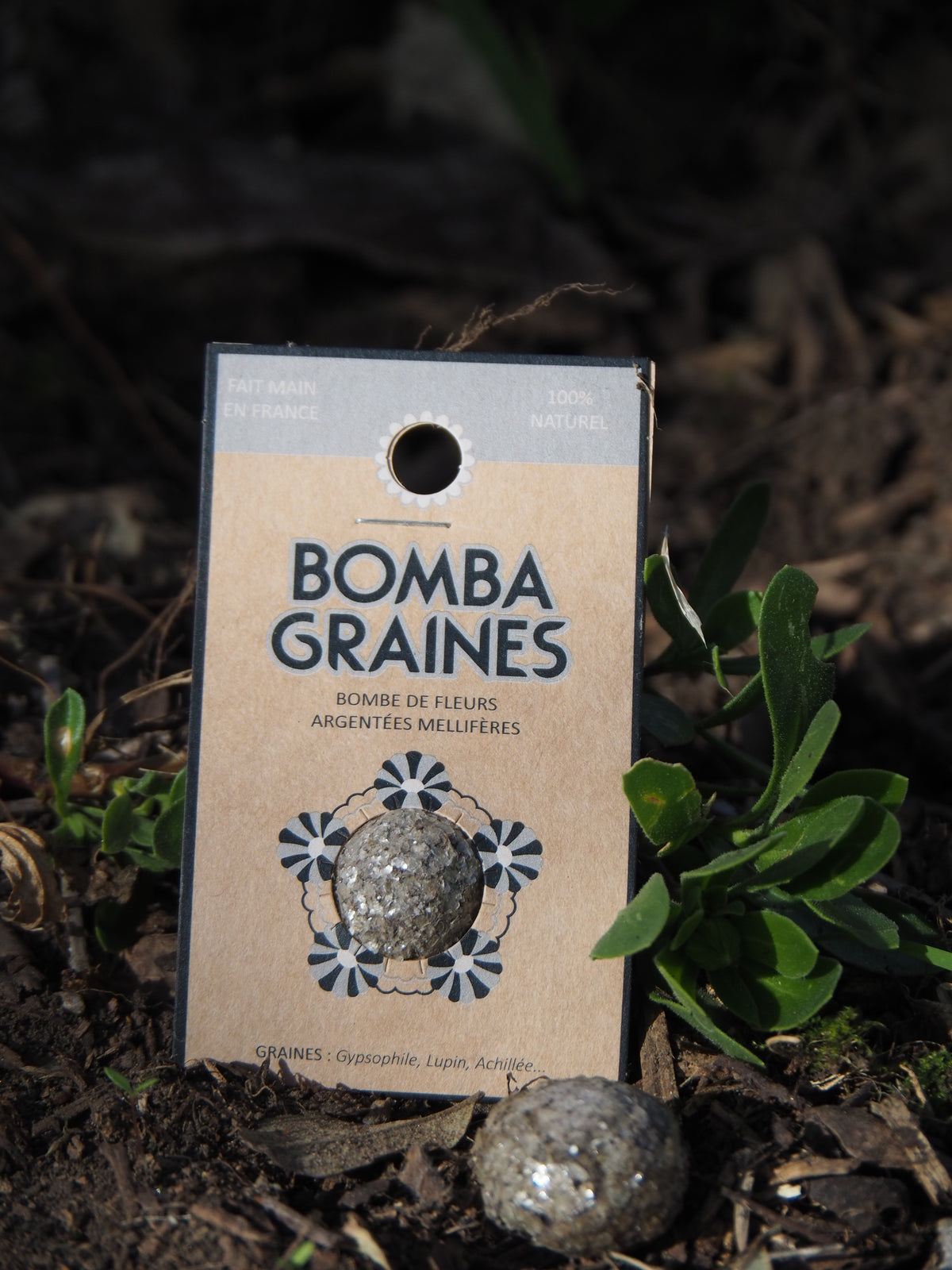 BOMBAFACETTES - Bombe de graines aux fleurs blanches
