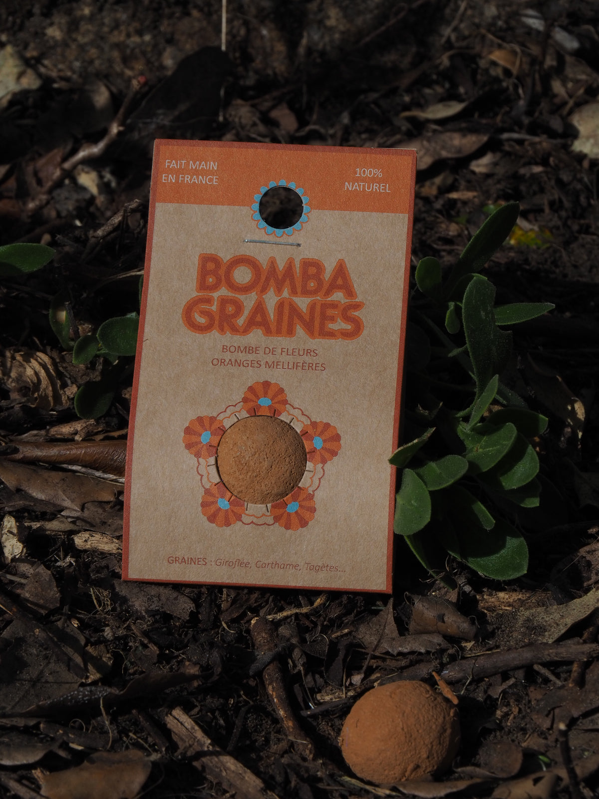 BOMBAPAPAYA - Bombe de graines aux fleurs oranges
