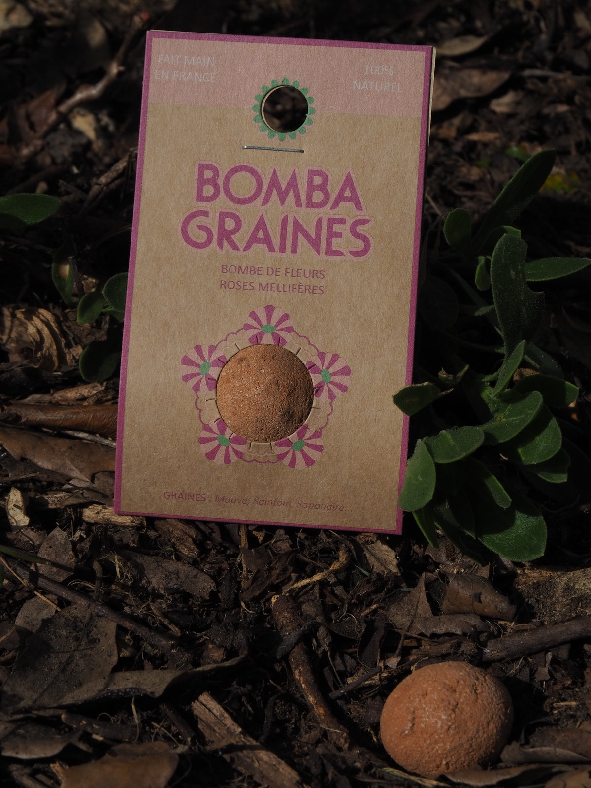 BOMBADOUDOU - Bombe de graines aux fleurs roses