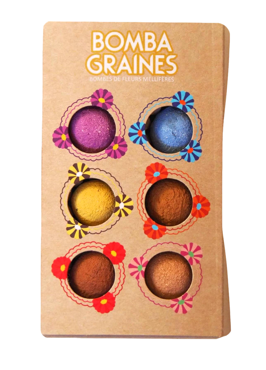 COFFRET BOMBAMIX - Bombes de graines aux fleurs multicolores