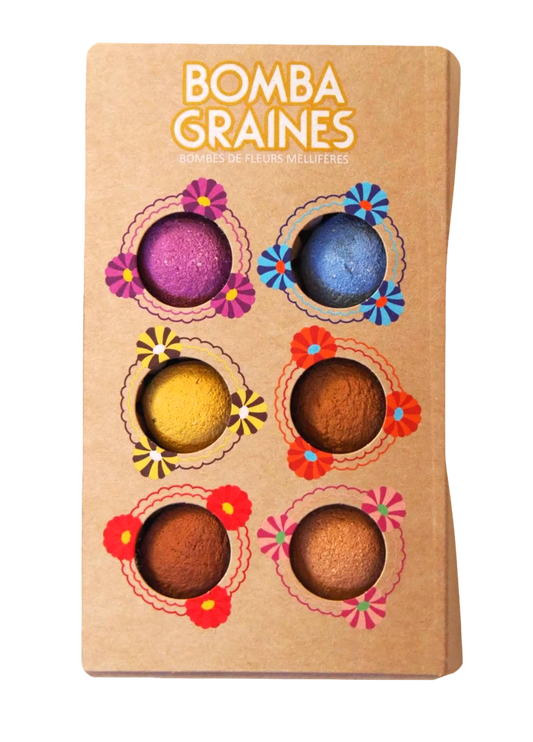 COFFRET BOMBAMIX - Bombes de graines aux fleurs multicolores