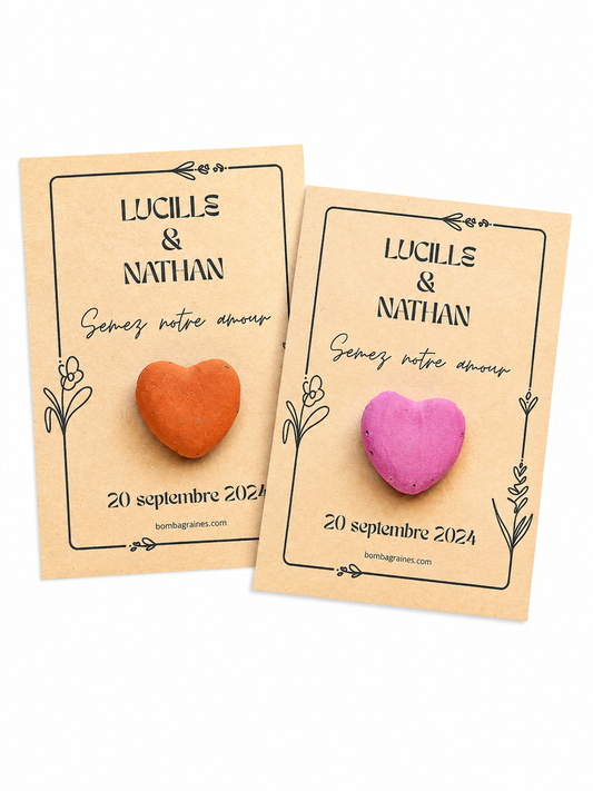 Cartonnettes & Bombe de graines Coeur (lot x9)